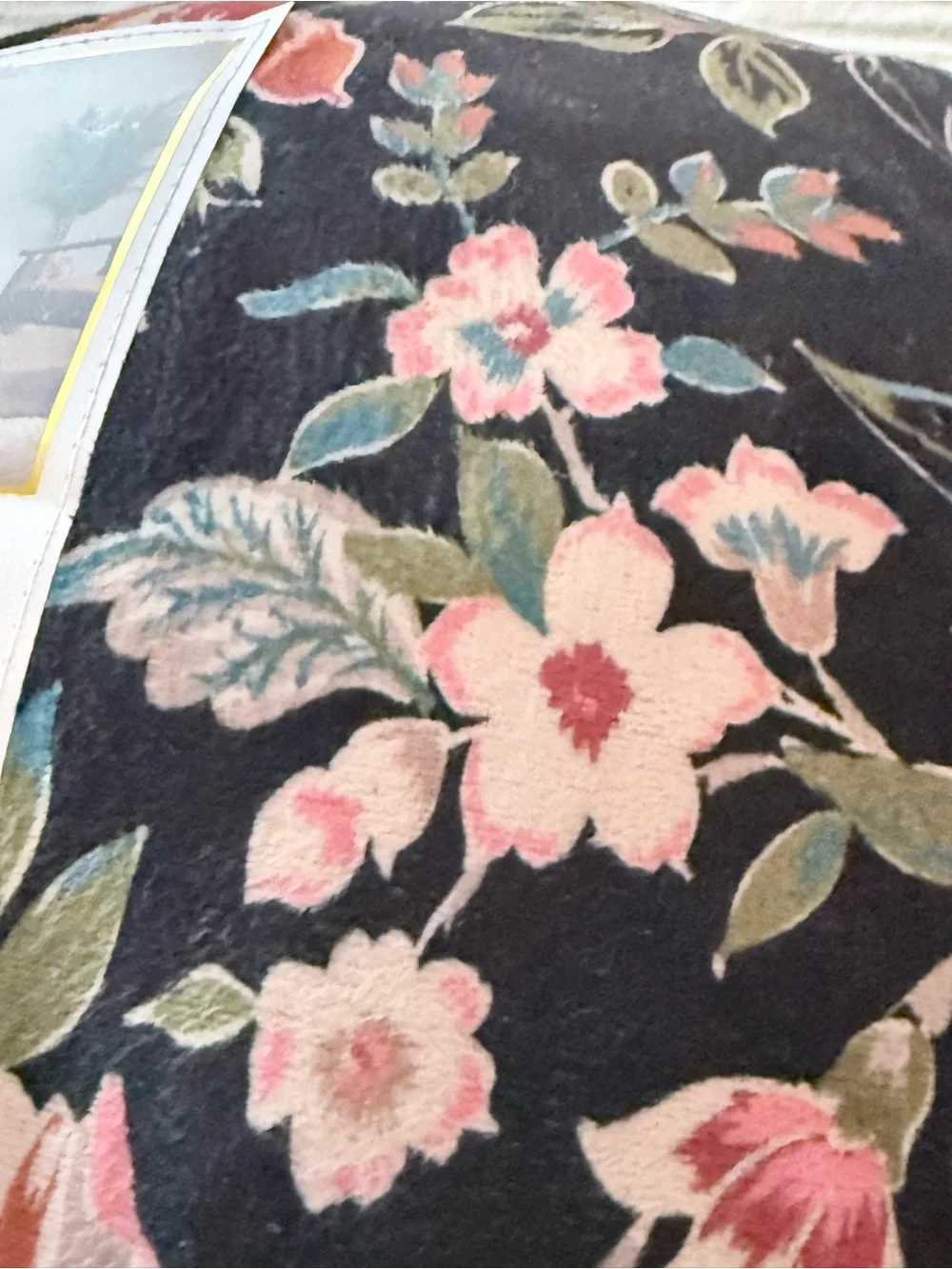 Jessica Simpson Velvet Duvet Set - Black with Pink Floral. Duvet and 2 shams!